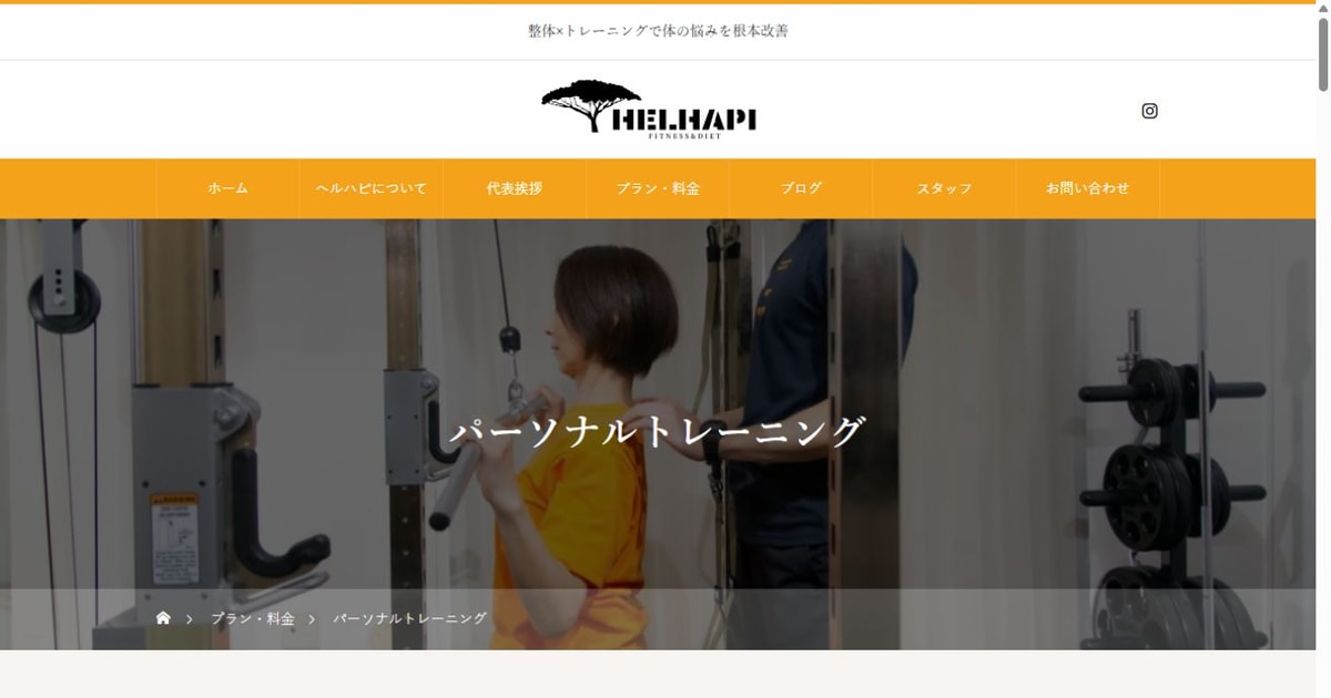 HELHAPI 公式サイト